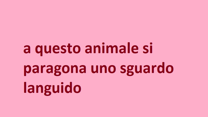 a questo animale si paragona uno sguardo languido