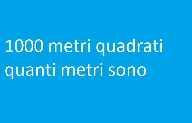 1000 metri quadrati quanti metri sono