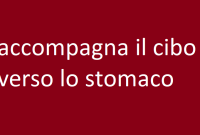 accompagna il cibo verso lo stomaco