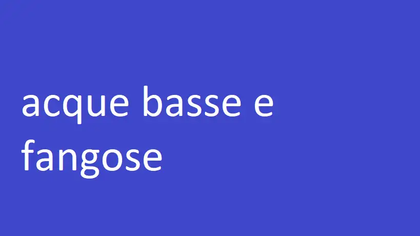 acque basse e fangose