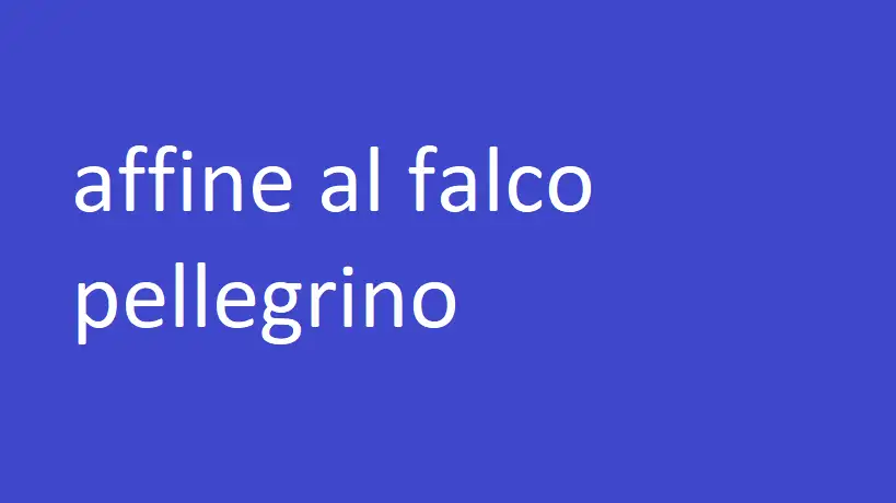 affine al falco pellegrino